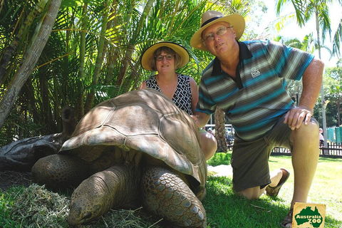 Small-Group Australia Zoo Day Trip From Brisbane - Accommodation BNB 1