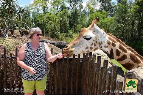 Small-Group Australia Zoo Day Trip From Brisbane - Accommodation BNB 2