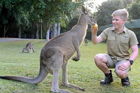 Small-Group Australia Zoo Day Trip From Brisbane - Accommodation BNB 4