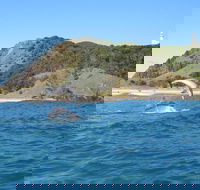 Kayaking with Dolphins in Byron Bay Guided Tour - Accommodation BNB