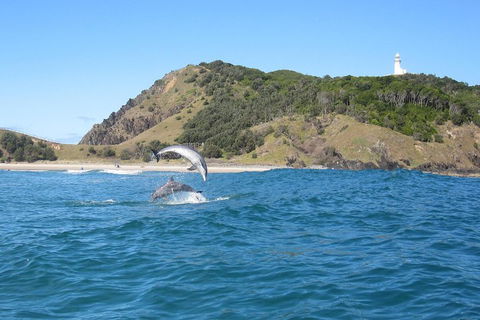 Kayaking With Dolphins In Byron Bay Guided Tour - Accommodation BNB 0