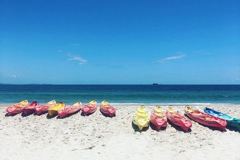 Kayaking With Dolphins In Byron Bay Guided Tour - Accommodation BNB 1