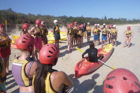 Kayaking With Dolphins In Byron Bay Guided Tour - Accommodation BNB 2
