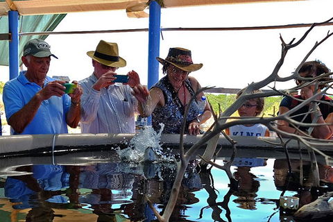 Cape Leveque 4WD Tour From Broome With Optional Return Flight - Accommodation BNB 0