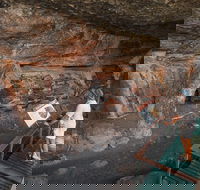 Kakadu National Park Wildlife and Ubirr Rock Art Tour from Darwin City - Accommodation BNB