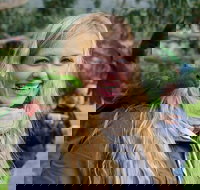 Great Ocean Road Reverse Itinerary with 12 Apostles from Melbourne - Accommodation BNB