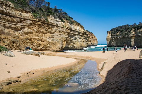 Great Ocean Road Reverse Itinerary With 12 Apostles From Melbourne - Accommodation BNB 2
