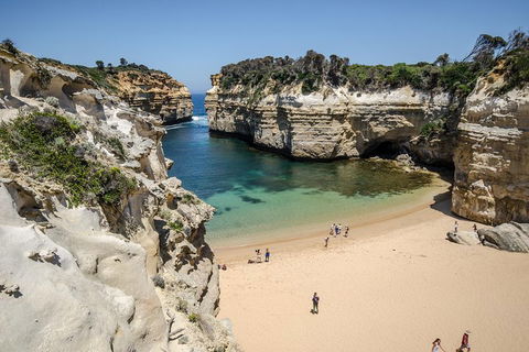Great Ocean Road Reverse Itinerary With 12 Apostles From Melbourne - Accommodation BNB 5