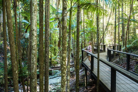 All-Inclusive Fraser Island Day Tour - Accommodation BNB 5