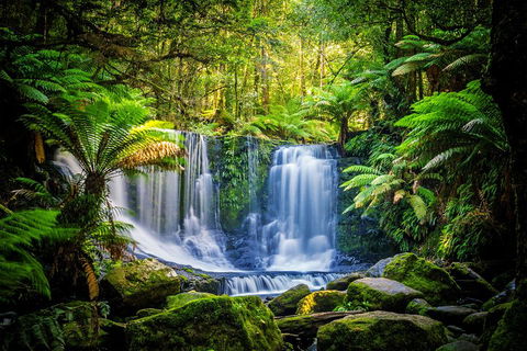 Day Tour In Mt. Field, Mt. Wellington, Bonorong Wildlife Sanctuary And Richmond - Accommodation BNB 0