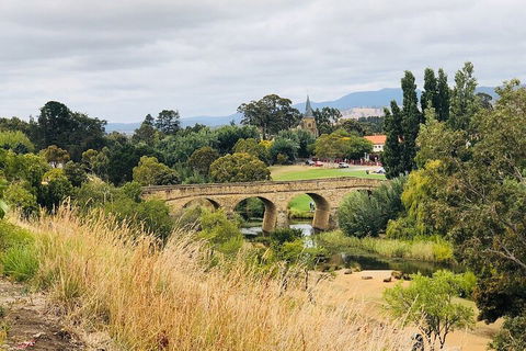 Day Tour In Mt. Field, Mt. Wellington, Bonorong Wildlife Sanctuary And Richmond - Accommodation BNB 3