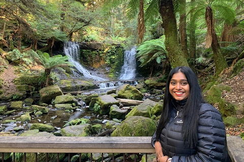 Day Tour In Mt. Field, Mt. Wellington, Bonorong Wildlife Sanctuary And Richmond - Accommodation BNB 5
