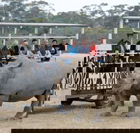 Off-Road Safari at Werribee Open Range Zoo - Accommodation BNB