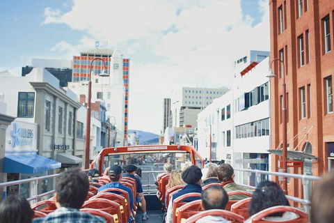 Hobart Hop-on Hop-off Bus Tour - Accommodation BNB 2