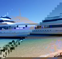 Moreton Island Day Trip Kayak Snorkel  Sandboard frm Brisbane or Gold Coast - Accommodation BNB