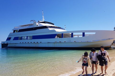 Moreton Island Day Trip (Kayak, Snorkel & Sandboard) Frm Brisbane Or Gold Coast - Accommodation BNB 0