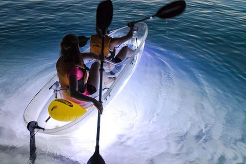 2-Day Moreton Island Tour From Brisbane Or Gold Coast With Optional Nighttime Kayaking - Accommodation BNB 0