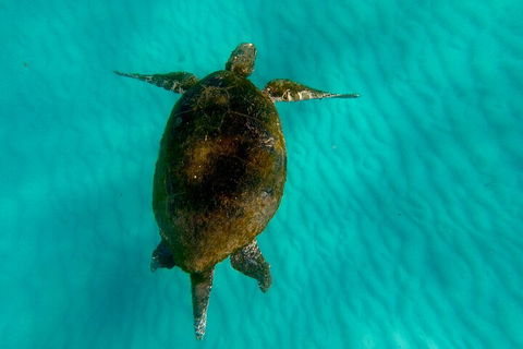 2-Day Moreton Island Tour From Brisbane Or Gold Coast With Optional Nighttime Kayaking - Accommodation BNB 5