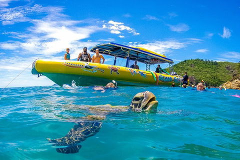 Great Barrier Reef Scenic Flight And Ocean Rafting Whitehaven Beach Day Trip - Accommodation BNB 1