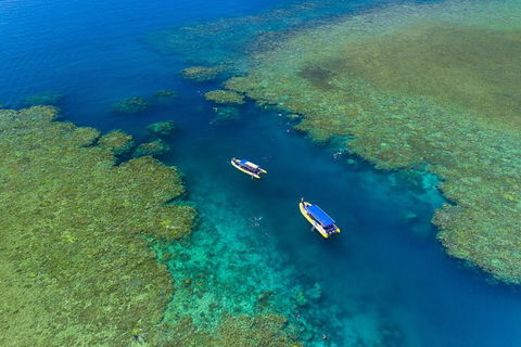 Great Barrier Reef Scenic Flight And Ocean Rafting Whitehaven Beach Day Trip - Accommodation BNB 4