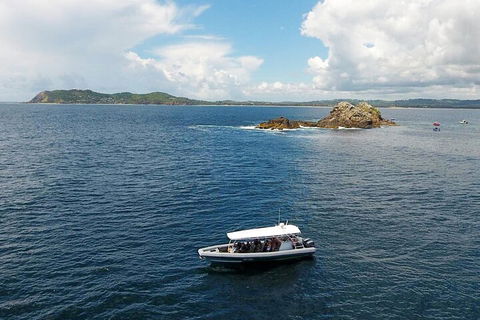 Julian Rocks Byron Bay Cruise - Accommodation BNB 5