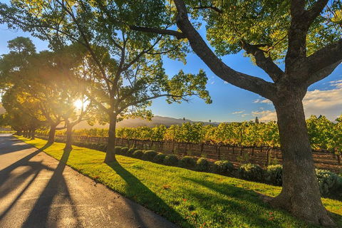 Very Best Of Perth Tour - Wildlife Park & City Highlights Tour - Accommodation BNB 2