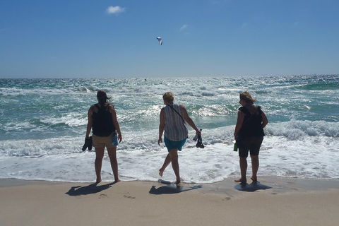 Very Best Of Perth Tour - Wildlife Park & City Highlights Tour - Accommodation BNB 5