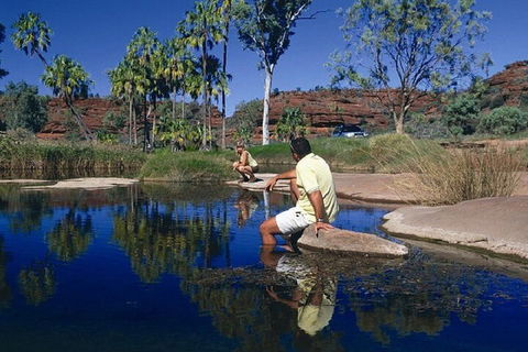 Palm Valley 4WD Day Tour - Accommodation BNB 1