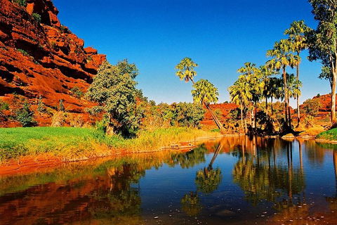 Palm Valley 4WD Day Tour - Accommodation BNB 2