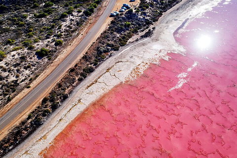 7-Day Exmouth Explorer Via Pinnacles Monkey Mia Ningaloo Reef Returning To Perth - Accommodation BNB 0