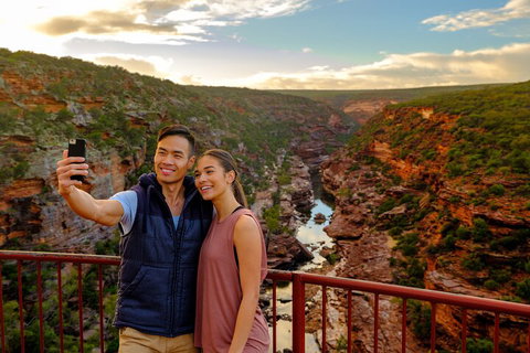7-Day Exmouth Explorer Via Pinnacles Monkey Mia Ningaloo Reef Returning To Perth - Accommodation BNB 5