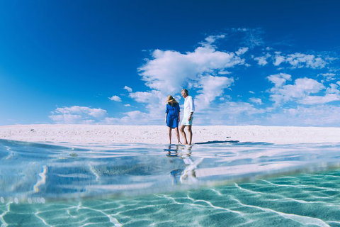 4-Day Coastal Loop Via Monkey Mia Wild Dolphins Kalbarri Pinnacles Perth Return - Accommodation BNB 0