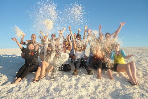 4-Day Coastal Loop Via Monkey Mia Wild Dolphins Kalbarri Pinnacles Perth Return - Accommodation BNB 1