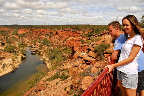 4-Day Coastal Loop Via Monkey Mia Wild Dolphins Kalbarri Pinnacles Perth Return - Accommodation BNB 3