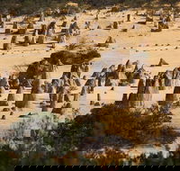 Pinnacles Sunset Dinner and Stargazing Experience a Small Group Tour - Accommodation BNB