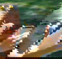 2-Day Melbourne to Adelaide Tour Great Ocean Road and Grampians One Way Trip - Accommodation BNB