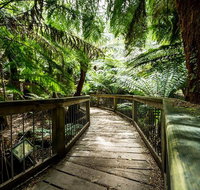 12 Apostles Eco-Friendly Great Ocean Road Iconic Adventure from Melbourne