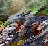 Small-Group Great Ocean Road and 12 Apostles Full-Day Tour from Melbourne - Accommodation BNB