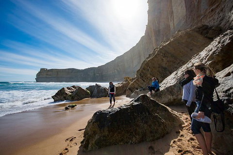 Small-Group Great Ocean Road And 12 Apostles Full-Day Tour From Melbourne - Accommodation BNB 1