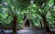 Small-Group Great Ocean Road And 12 Apostles Full-Day Tour From Melbourne - thumb 4
