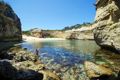Small-Group Great Ocean Road And 12 Apostles Full-Day Tour From Melbourne - Accommodation BNB 5