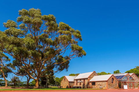 McLaren Vale And Glenelg Wine Tasting And Sightseeing (Half-day Afternoon) - Accommodation BNB 5