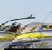 30-minute Jet Blast Express Ride - Accommodation BNB