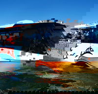 Paradise Jet Boating and Aquaduck Combo - Accommodation BNB