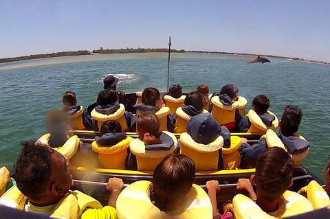 Jet Boat Express Ride - 30mins - Accommodation BNB 5