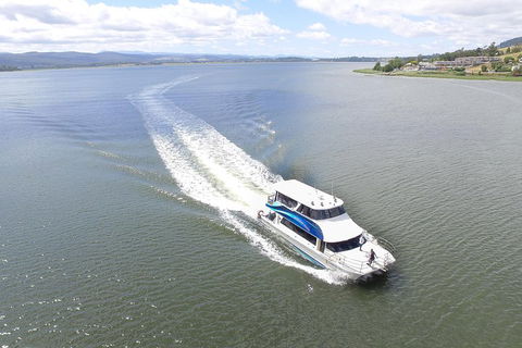 2.5 Hour Morning Discovery Cruise Including Sailing Into The Cataract Gorge - Accommodation BNB 2