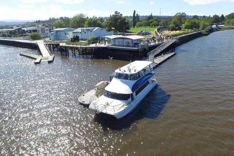 2.5 Hour Morning Discovery Cruise Including Sailing Into The Cataract Gorge - Accommodation BNB 3