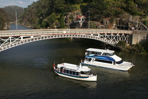 2.5 Hour Morning Discovery Cruise Including Sailing Into The Cataract Gorge - Accommodation BNB 5