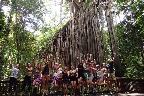 Atherton Tablelands Waterfalls Tour From Cairns - Accommodation BNB 5