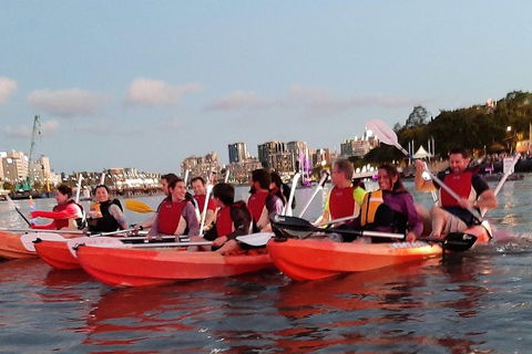 Brisbane River Guided Evening Tour By Kayak - Our Most Popular Tour - Accommodation BNB 0